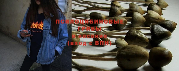 винт Медногорск