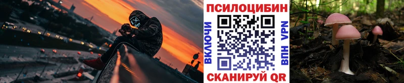 Купить закладки  Томилино  Псилоцибиновые грибы Psilocybe 